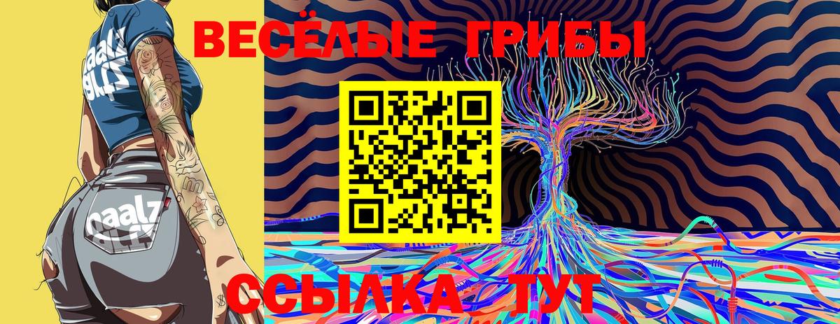 Галлюциногенные грибы мухоморы Обь