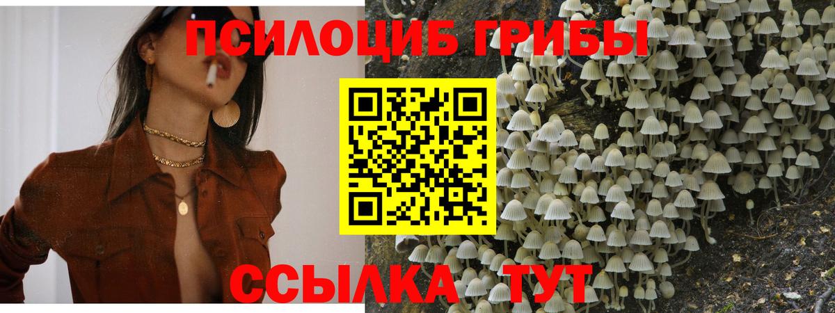 Обь  Псилоцибиновые грибы Cubensis  Галлюциногенные грибы Magic Shrooms  Вход с VPN 